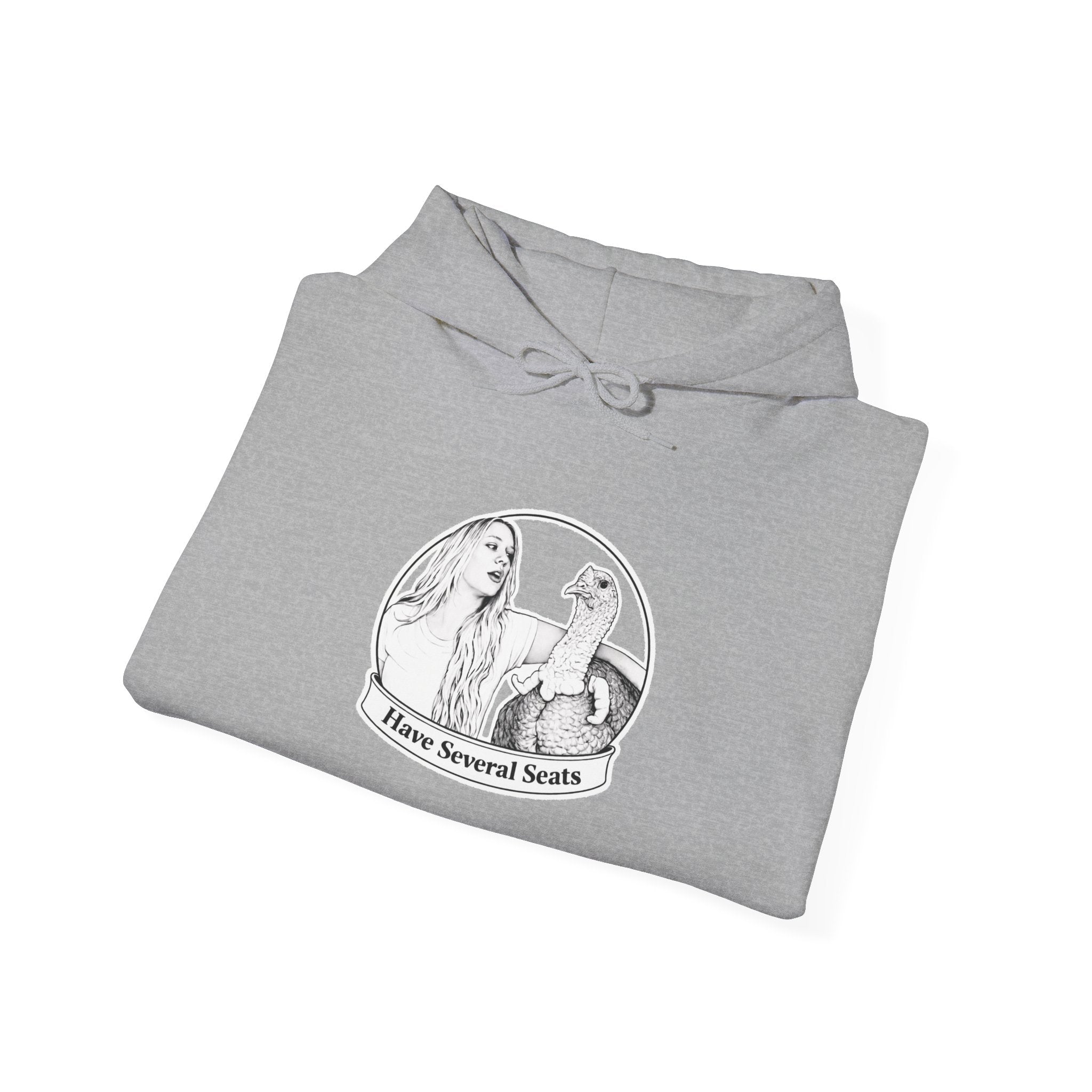 Have Several Seats Hoodie