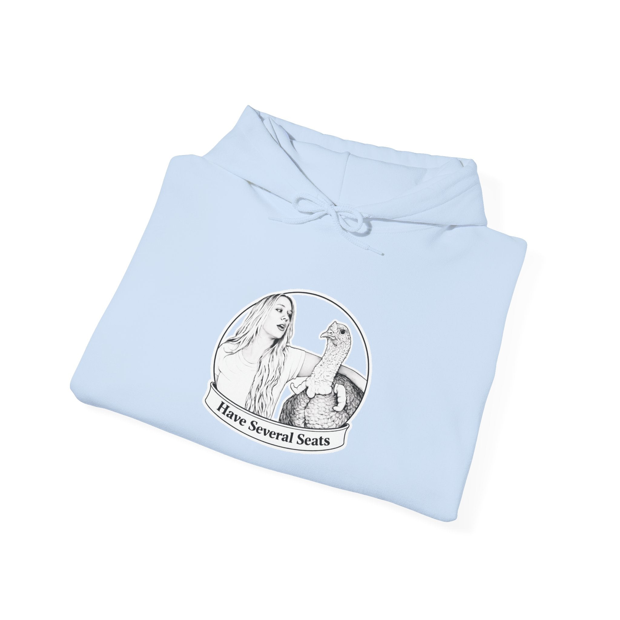Have Several Seats Hoodie