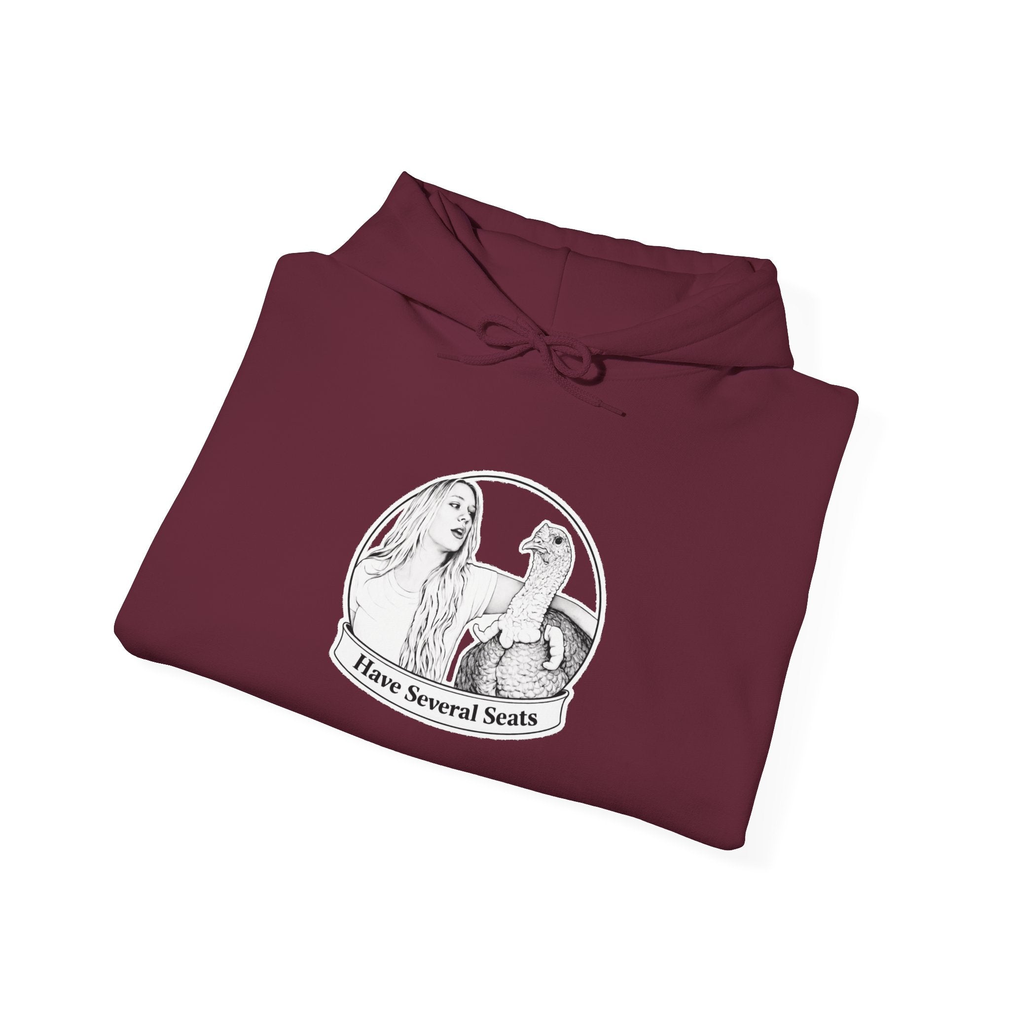 Have Several Seats Hoodie