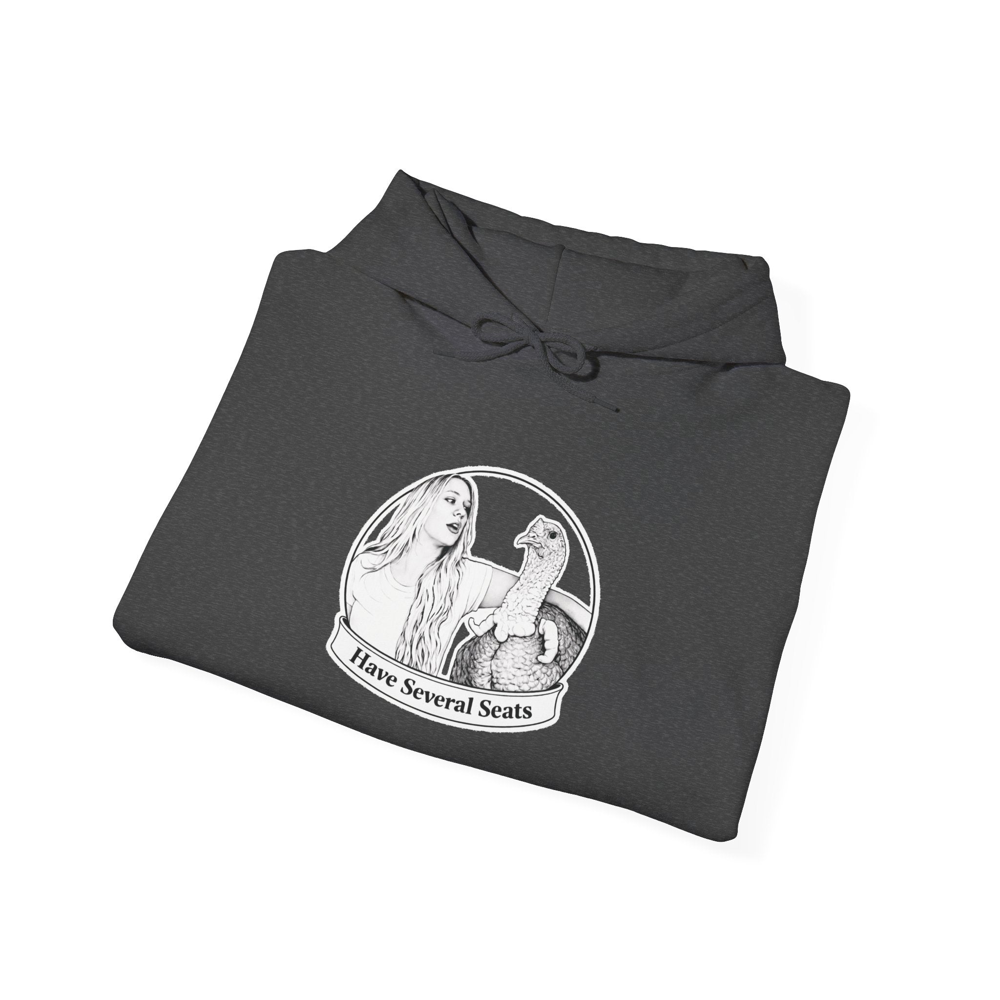 Have Several Seats Hoodie