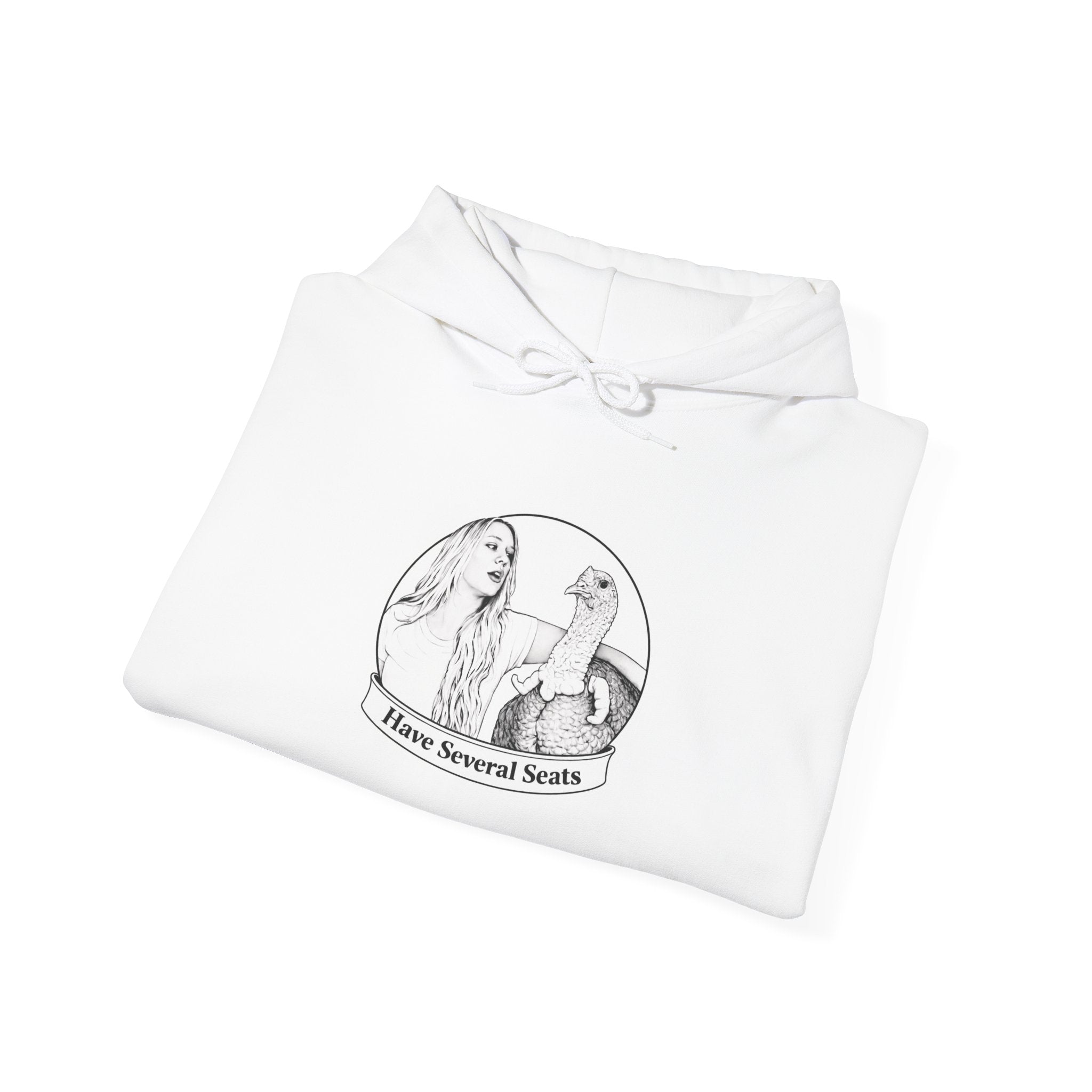 Have Several Seats Hoodie