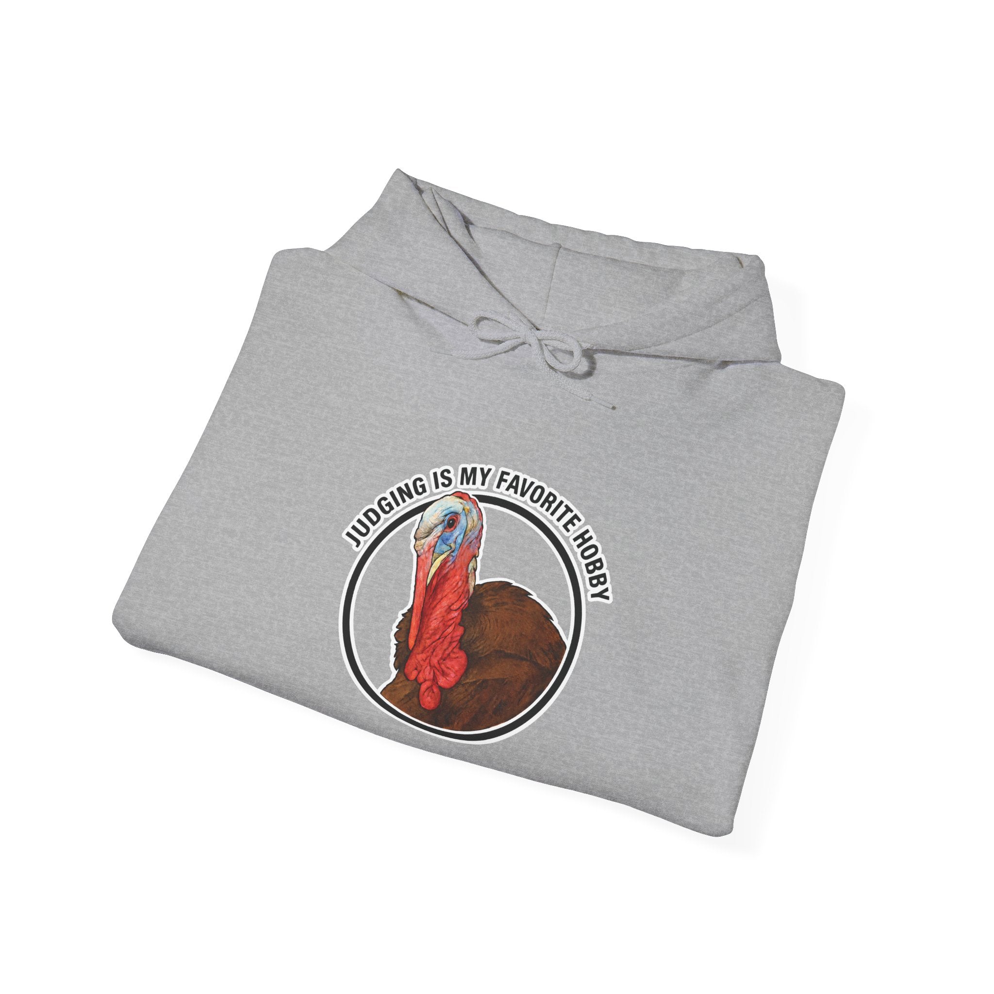Judging Hoodie