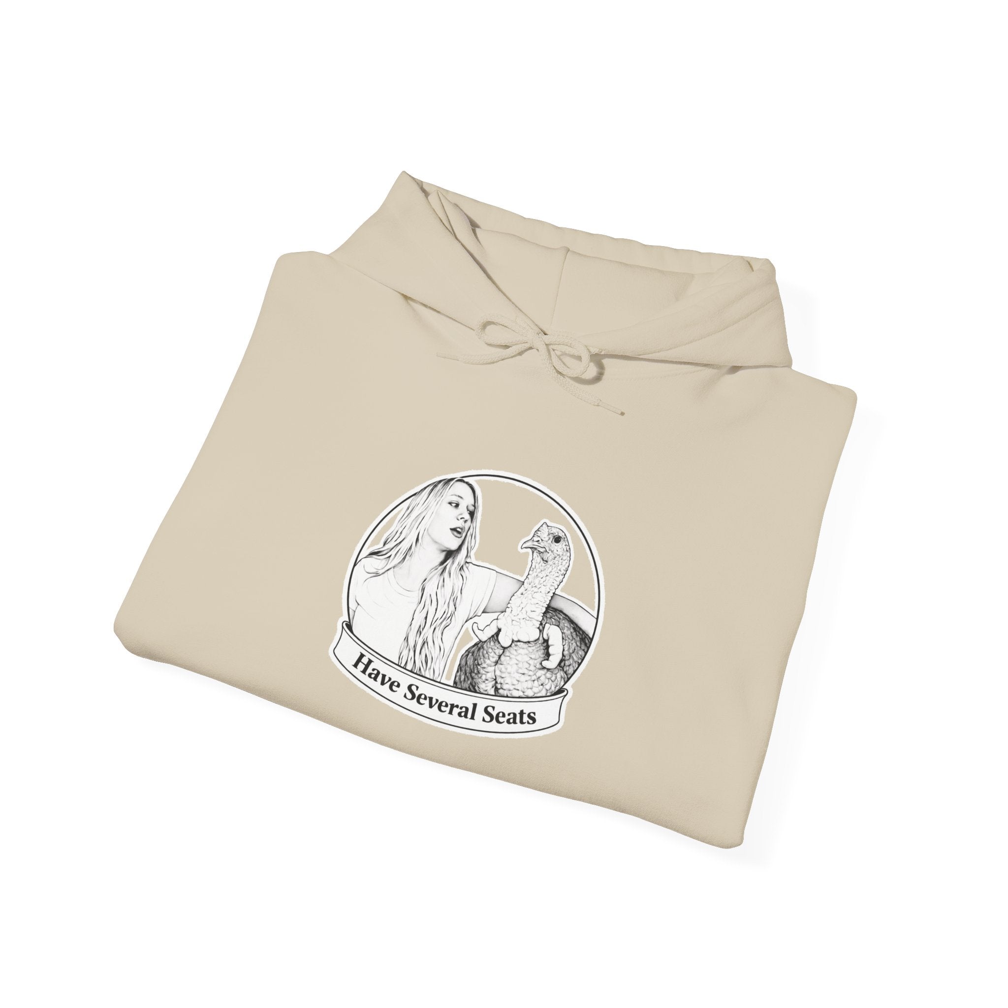 Have Several Seats Hoodie